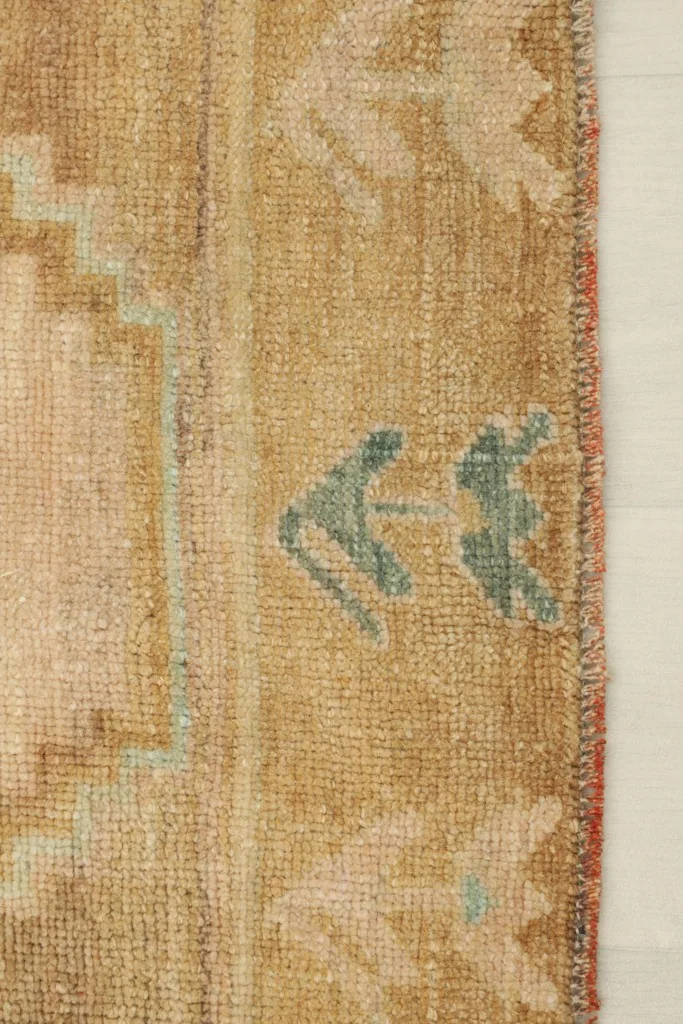 Close-up of the tan border with small blue and green geometric motifs