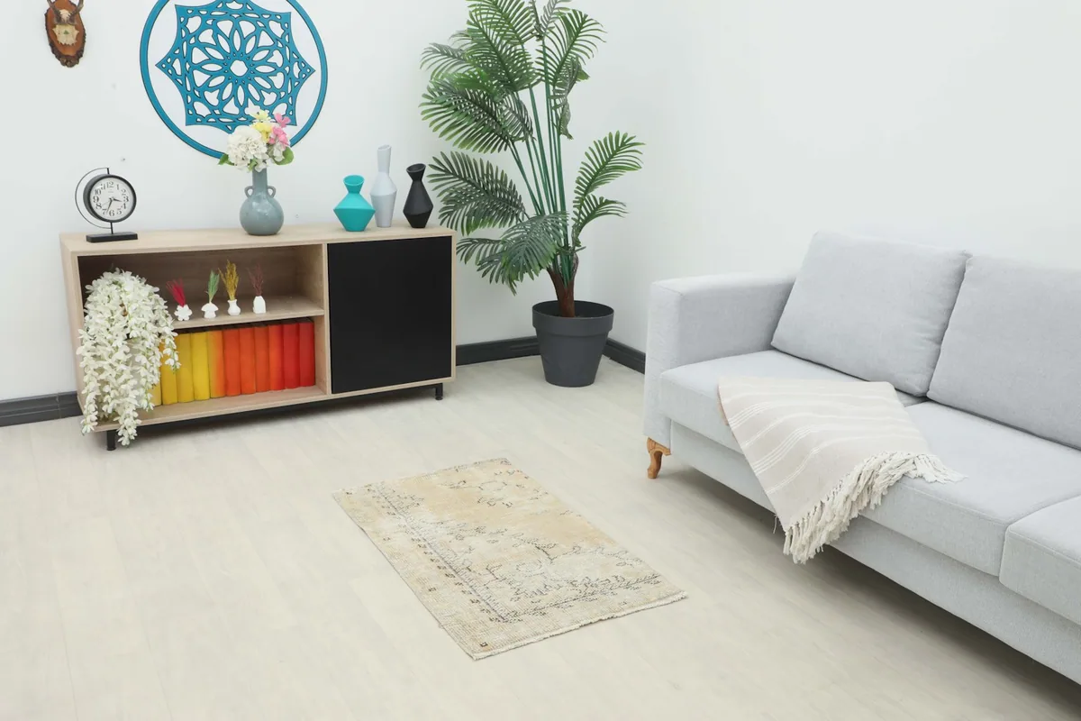 Vintage beige and charcoal area rug styled in a modern living room setting.