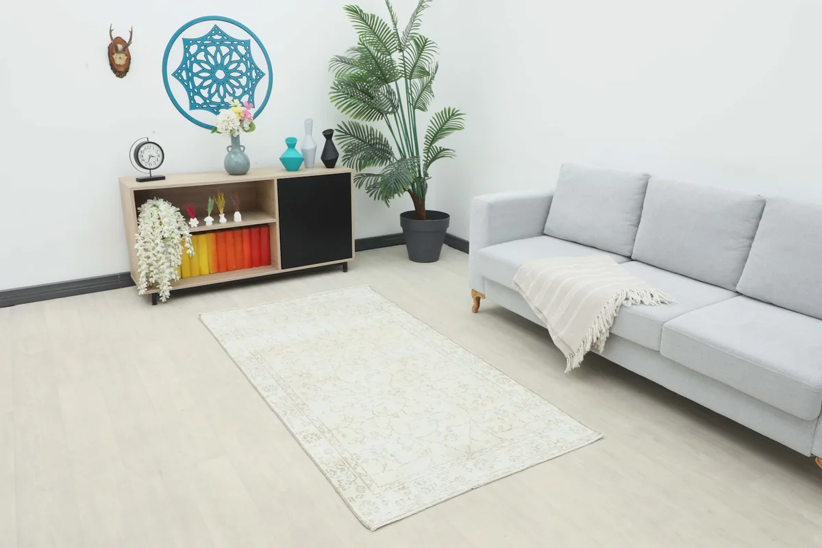Small ivory rug placed in a modern living room setting with a light gray sofa