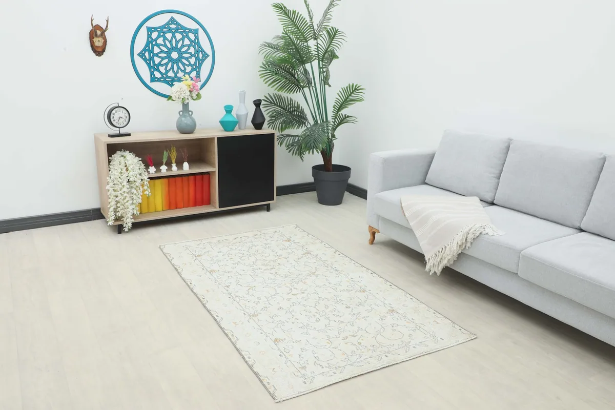 Small 4x6 cream and gold rug placed in a living room setting