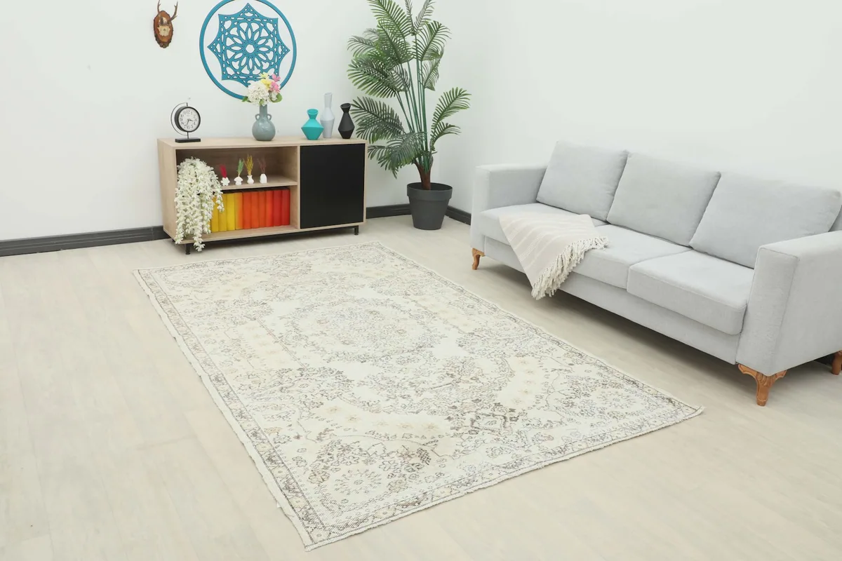 Vintage cream rug with gray and tan patterns in a modern living room setting