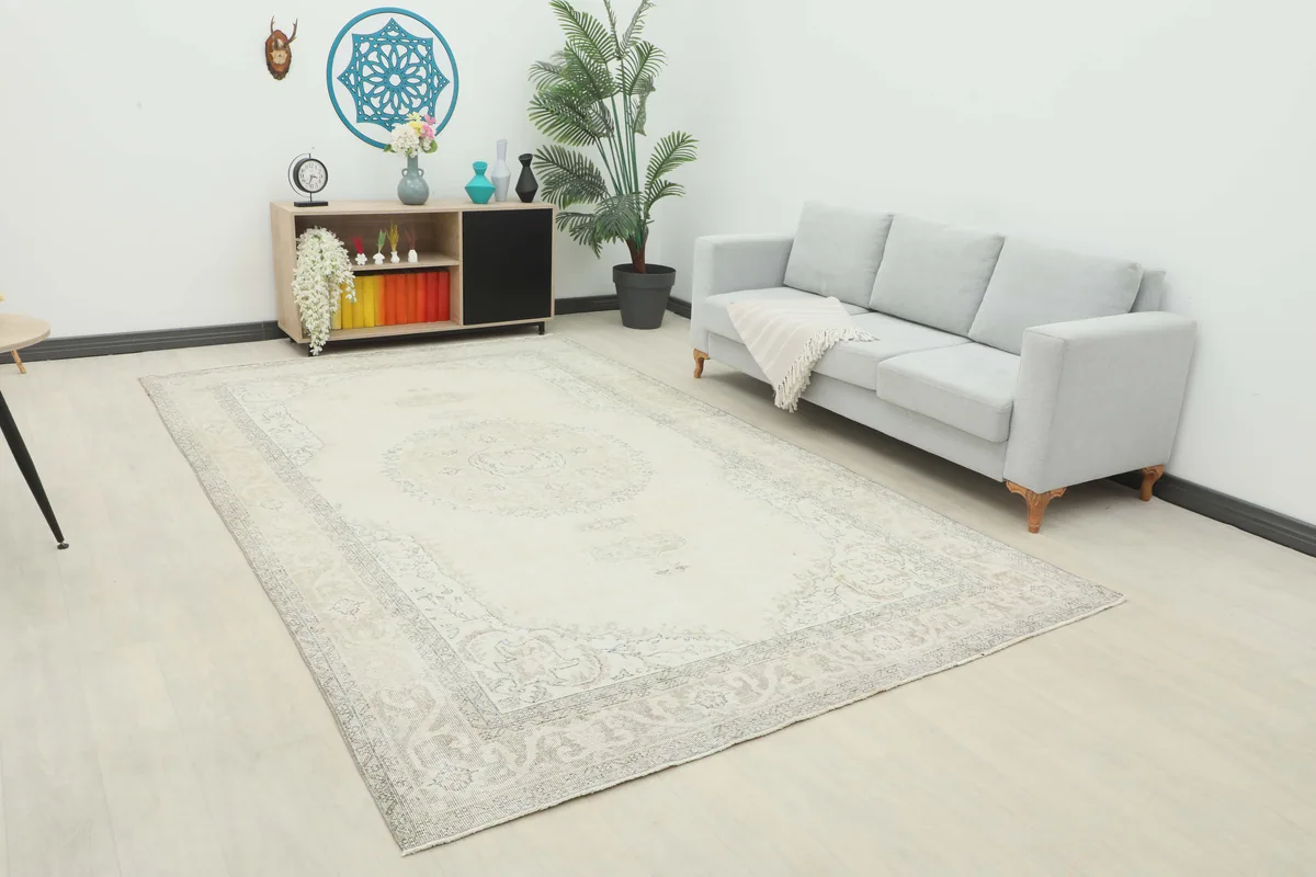 Cream Gray Medallion Rug in a living room setting with a sofa and decor.