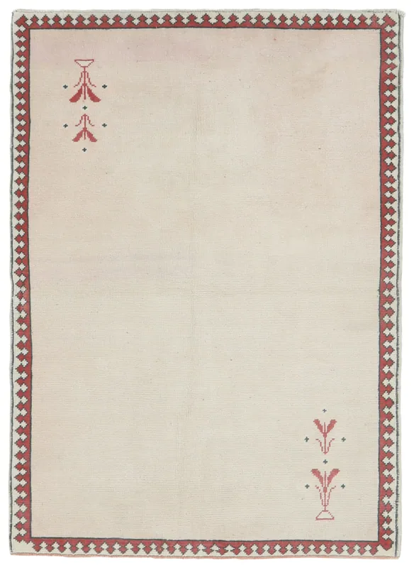 Full top view of the 4x6 ivory and red vintage Anatolian rug on a white background