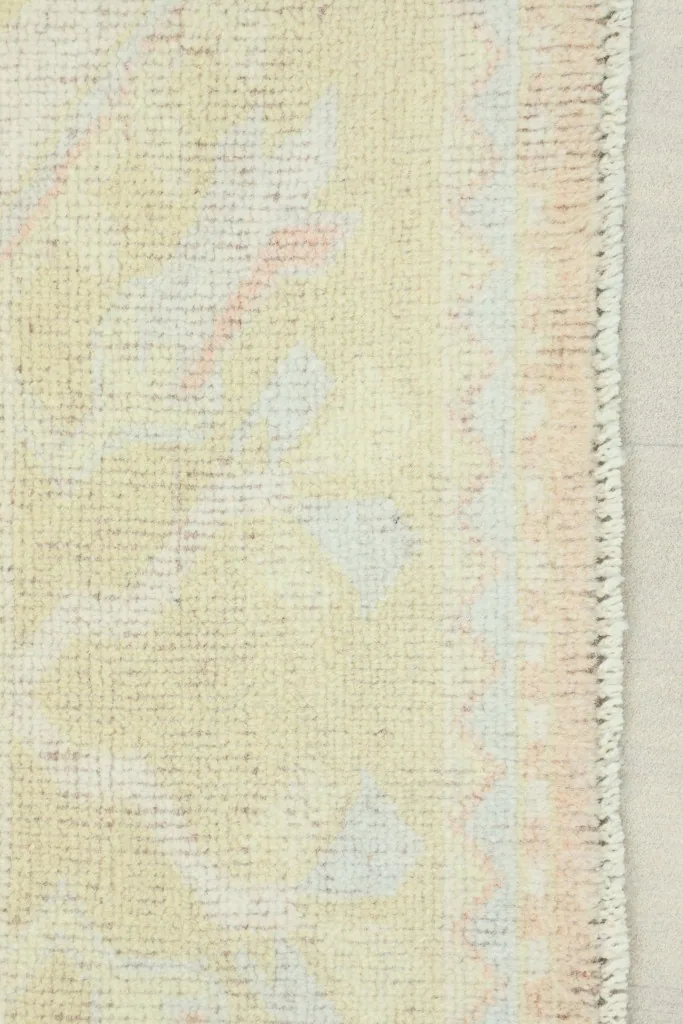 Close-up view of the rug's beige border with faded olive and rose geometric patterns