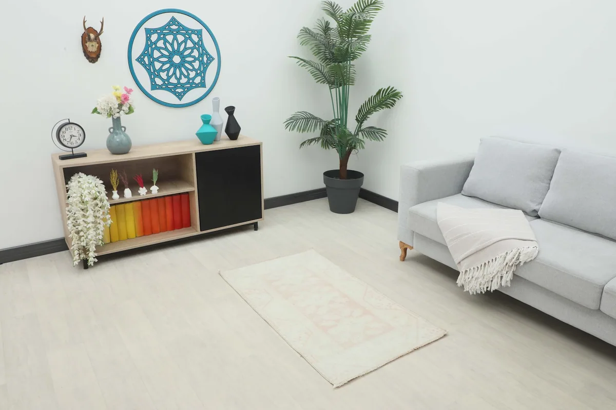 Vintage Anatolian rug in a living space with a sofa and cabinet