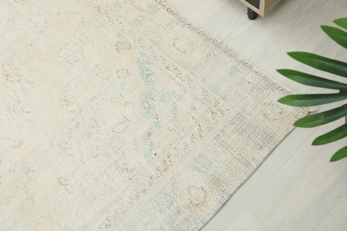 Close-up of the rug's edge, revealing the subtle border design and faint blue and tan tones.