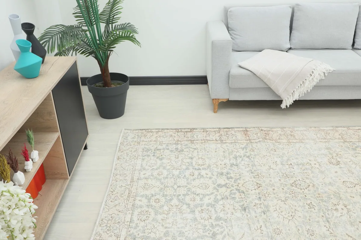 Angle view of the rug in a living room, showing its placement relative to a sofa and plant.