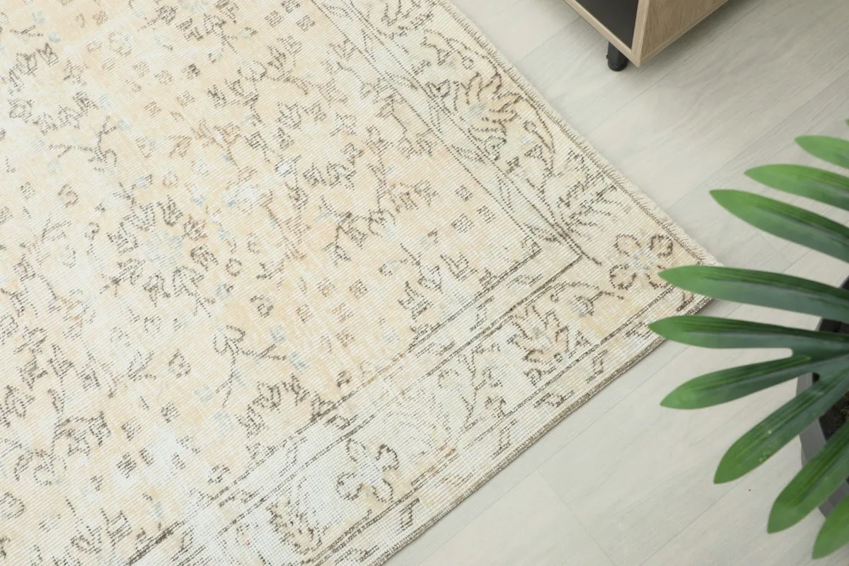 Close-up of the rug's border design and field next to a plant
