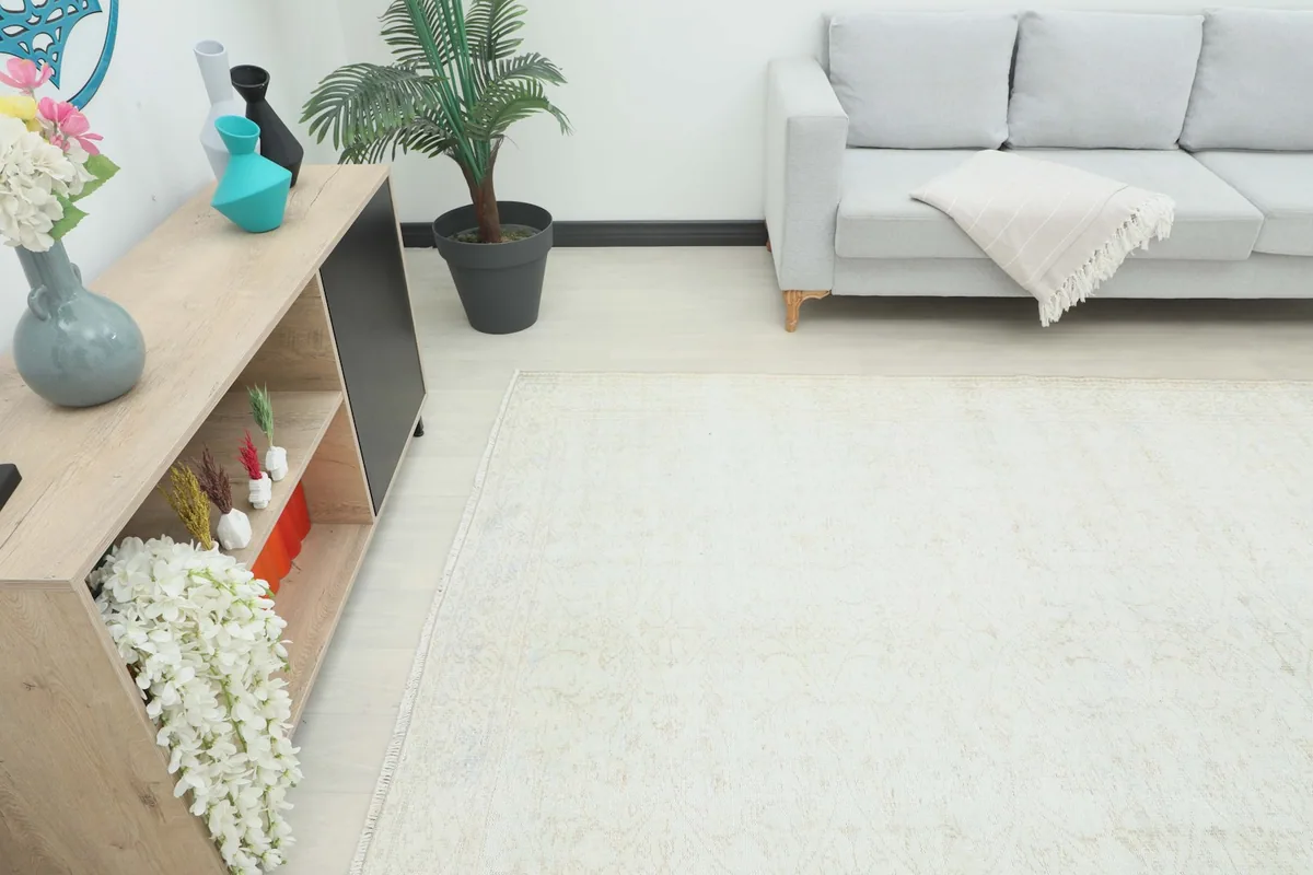 Angle view of the cream vintage rug in a living room with a sofa and plant.