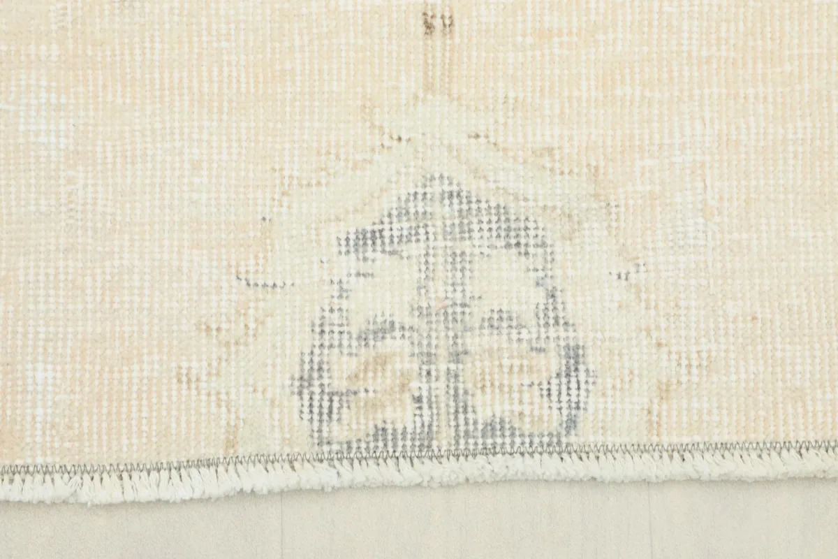 Close-up detail of the rug's border pattern and fringe with visible texture