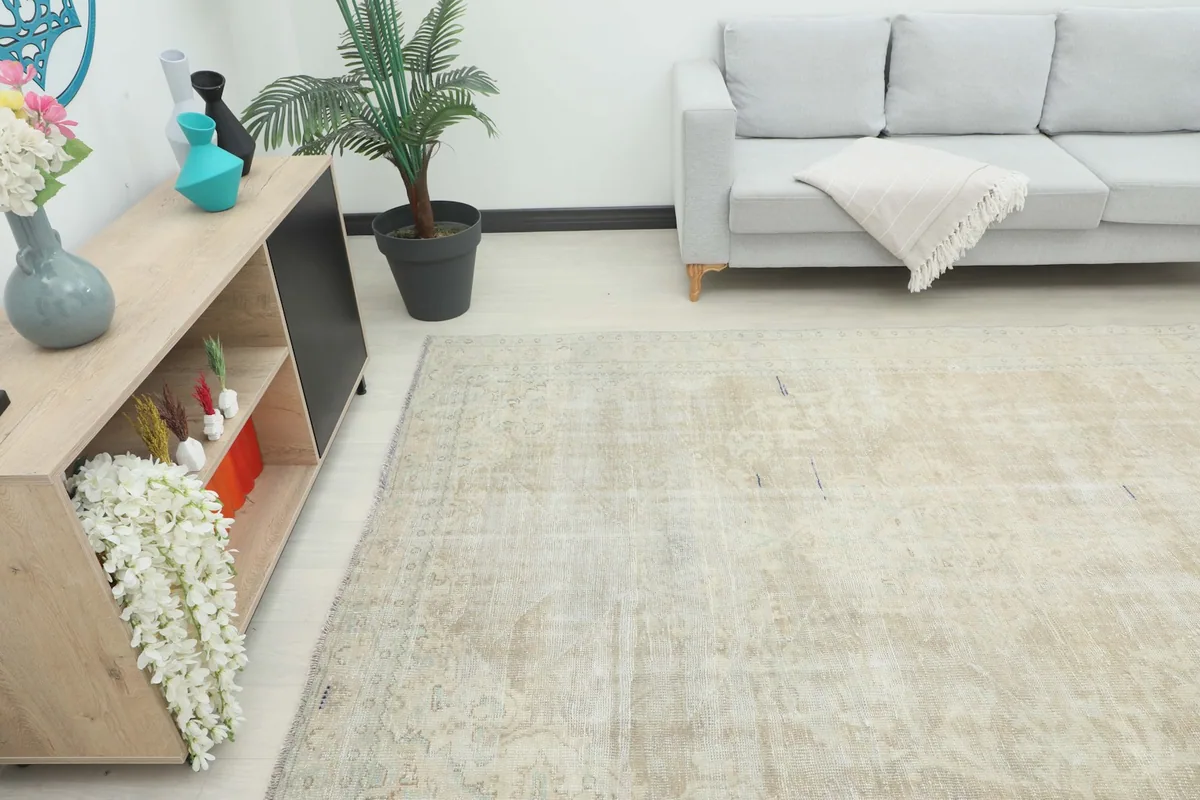 Wide shot of the vintage rug in a room, showing its placement in front of a sofa and cabinet