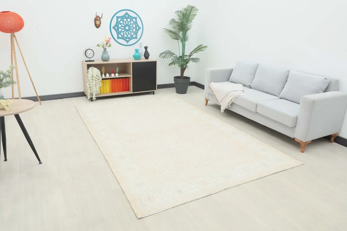 Beige vintage rug complementing a modern living room setting with a light gray sofa