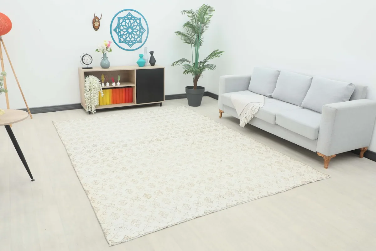 Cream and tan vintage rug placed in a bright living room setting with a light gray sofa and modern decor.