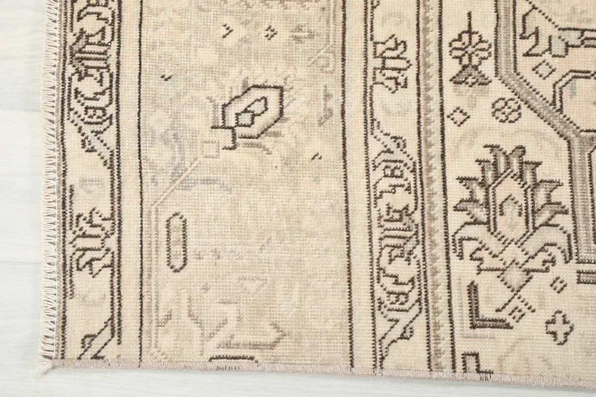 Detail of the rug's outer border and the edge, showing the subtle color variations and weave.