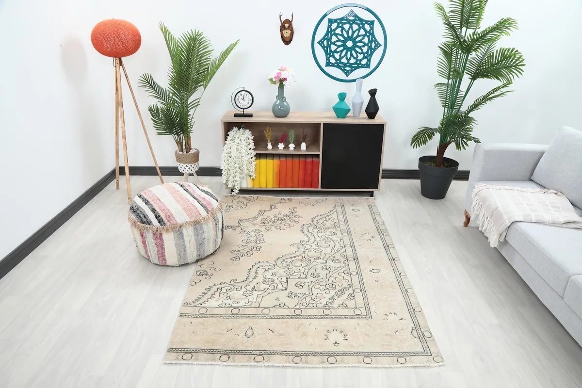 Vintage beige area rug in a modern living room setting with a light sofa and decor