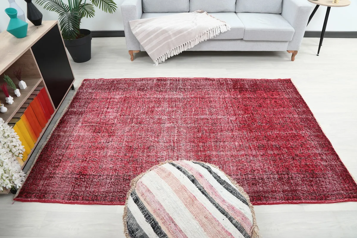 Full room view with the 5'1" x 7'8" rose Anatolian rug as a central feature, complementing modern decor.