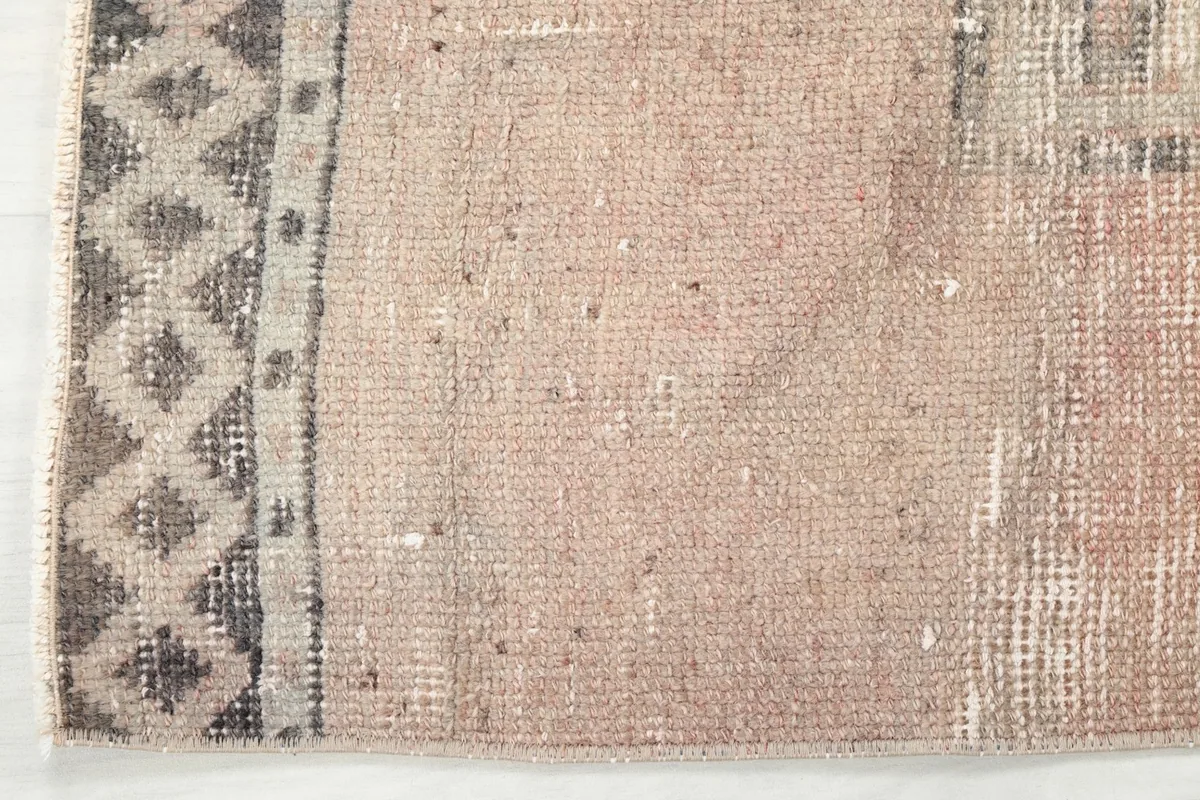 Close-up of the rug's border design, showing the intricate details and colors.