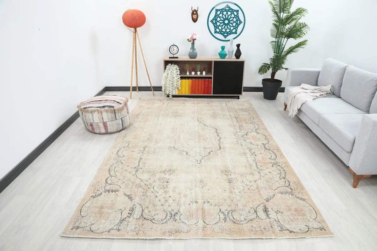 Vintage beige area rug in a living room setting with a light gray sofa and modern decor