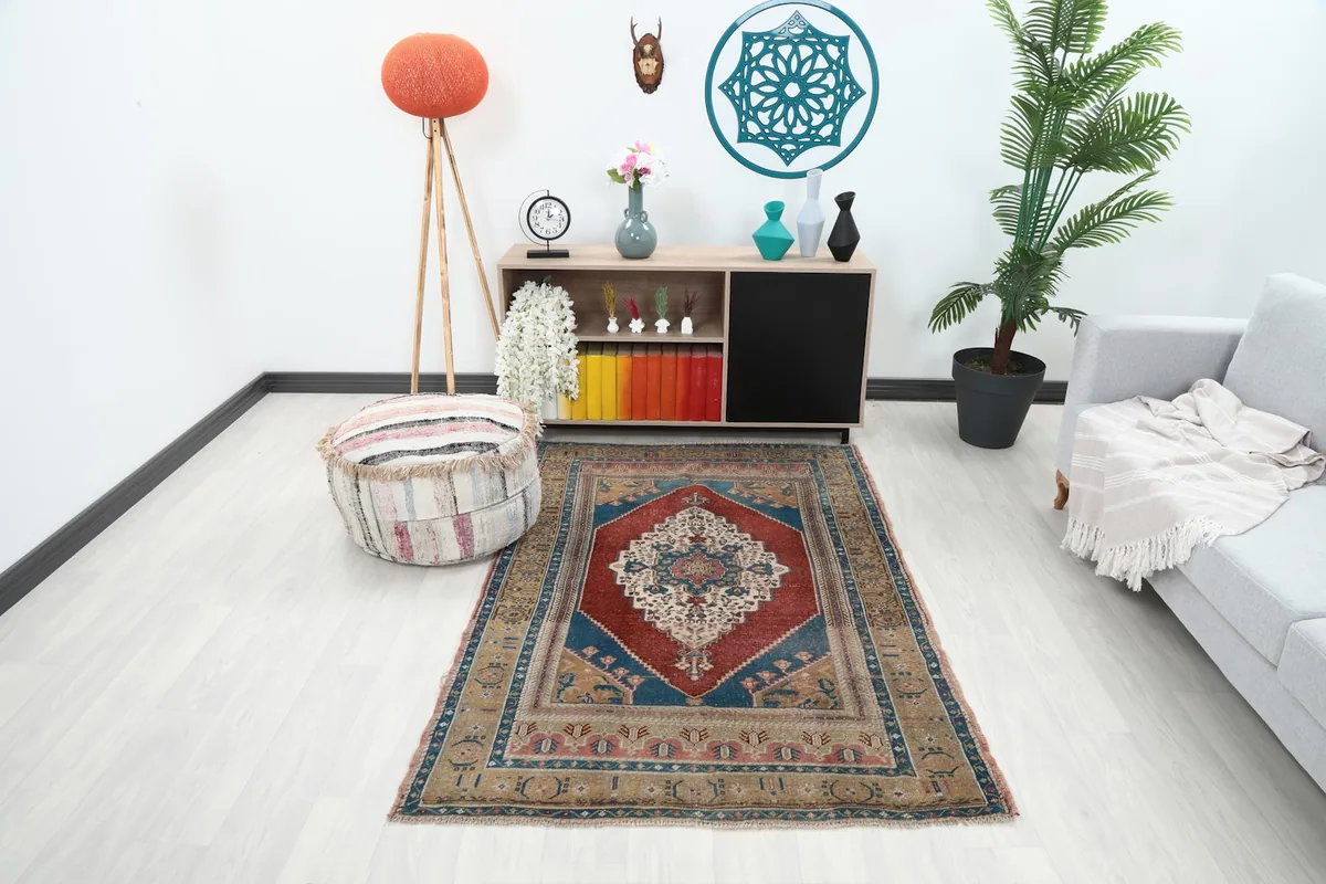 Small area rug placed in a modern living room setting with a light grey couch and plant