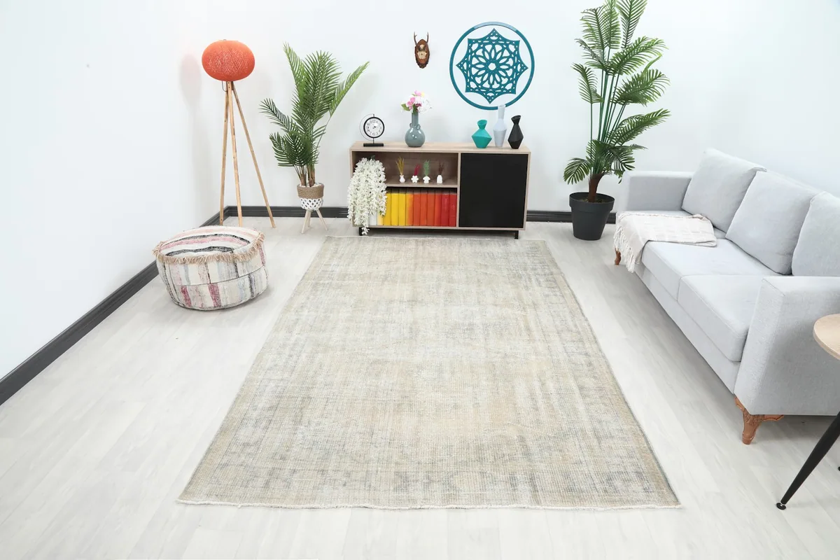 Vintage ivory and gray rug in a modern living room setting with a light gray couch and plants