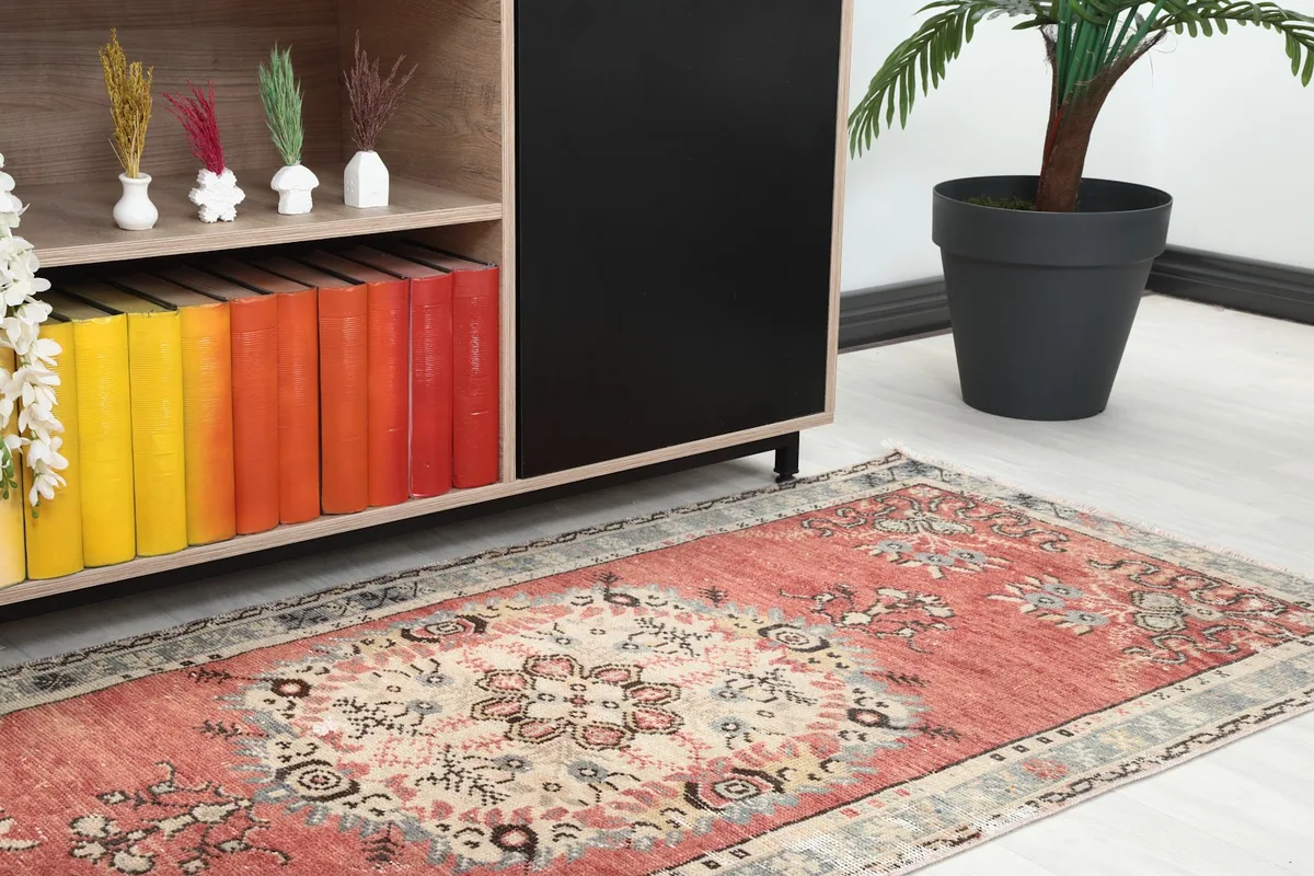 Close-up of the rust rug's medallion and border, with a cabinet and plant in the background