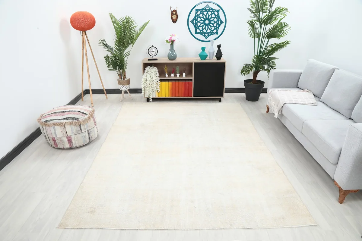 Vintage cream rug displayed in a modern living room setting with a sofa and plants.