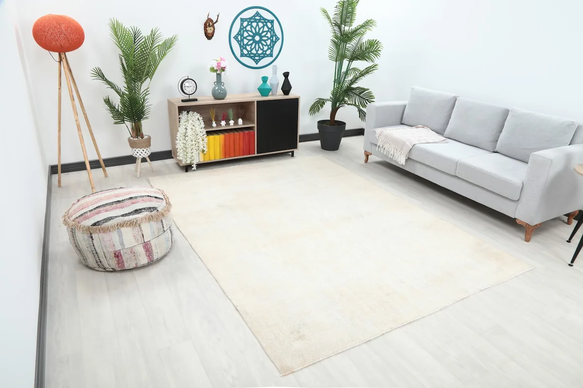 Angle view of the cream Anatolian rug in a living room, showing its size relative to furniture.