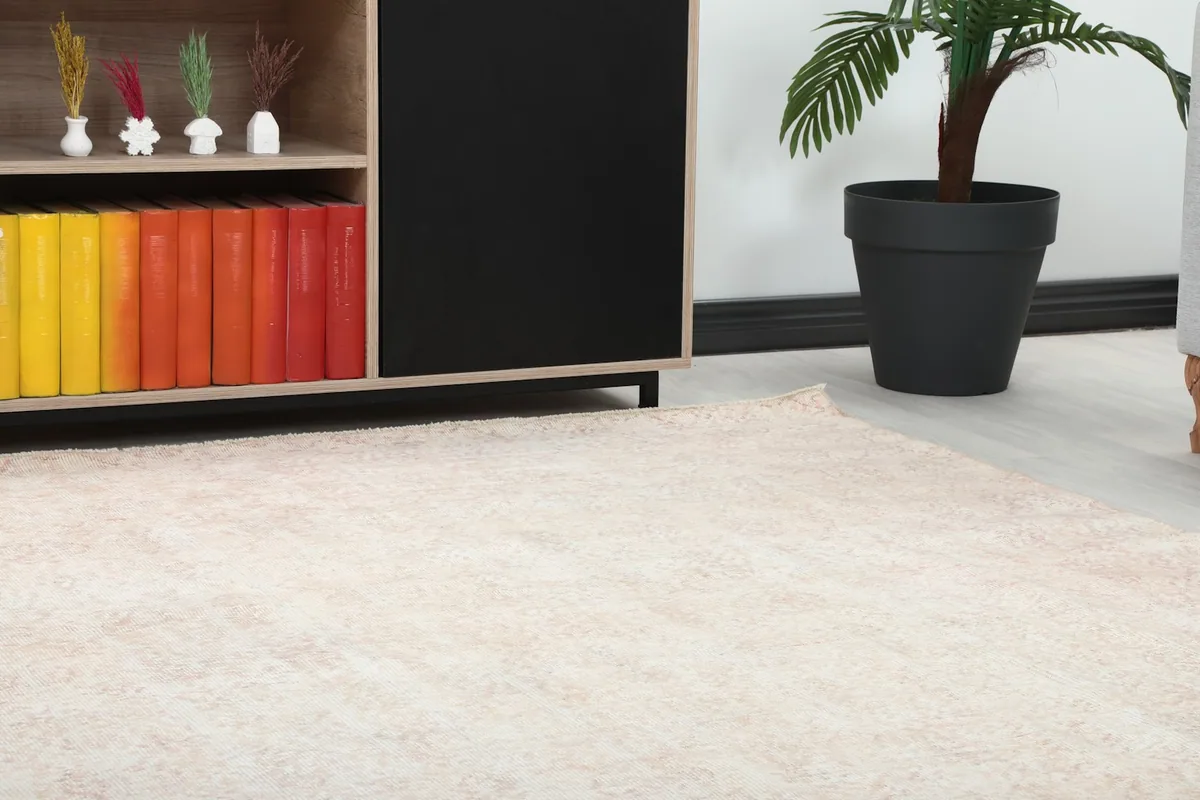 Close-up view of the corner of the rug in a living room, near a wooden cabinet and plant.