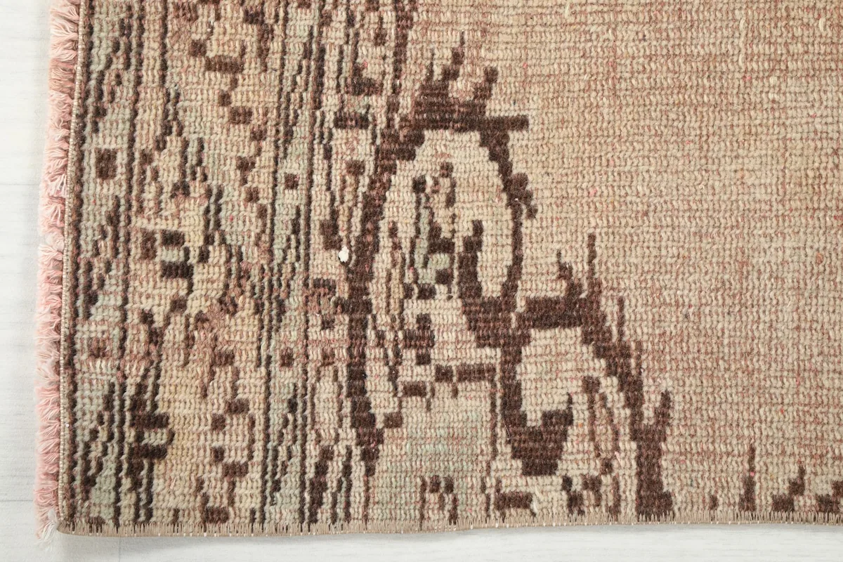 Close-up of the rug's edge, revealing the intricate brown border pattern and subtle color variations.