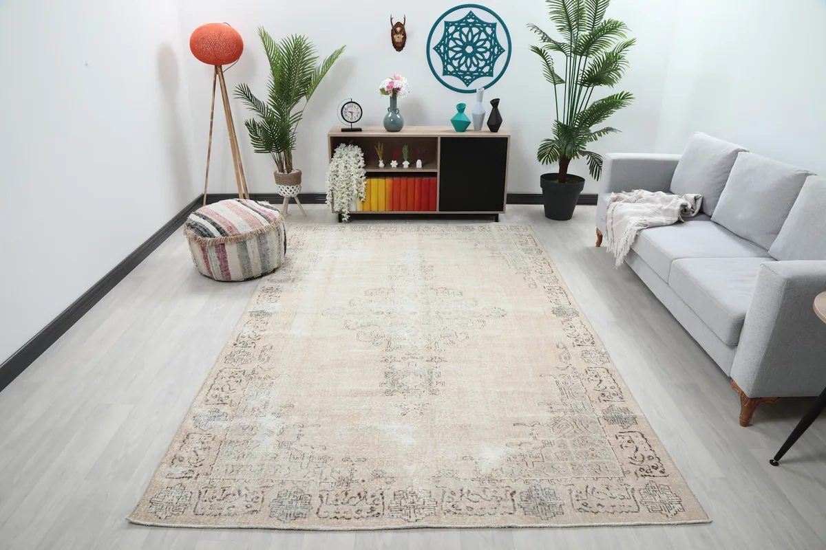 Medium area rug in a modern living room setting with a light gray sofa and plants.