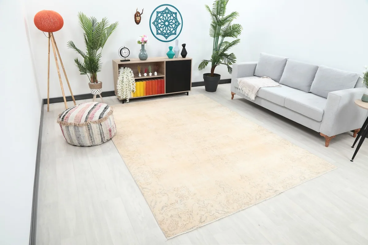 Overhead view of the ivory area rug in a room with a sofa and plants