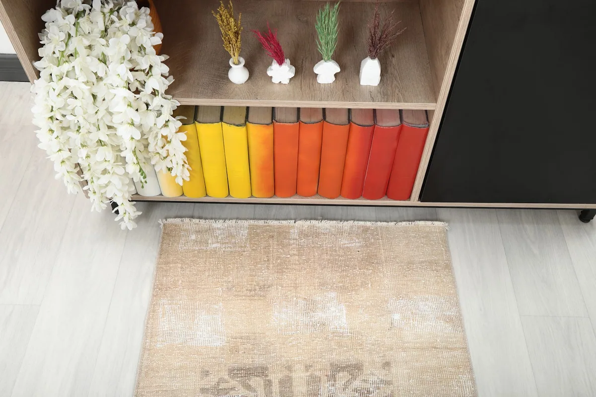 Top-down view of the runner rug's end in a room, with decorative books and plants in the background.