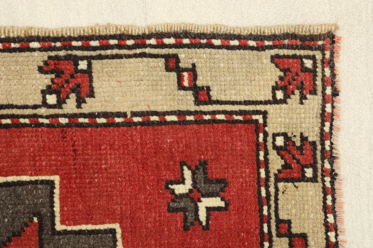 Edge detail of the rug, showing the border design and fringe.