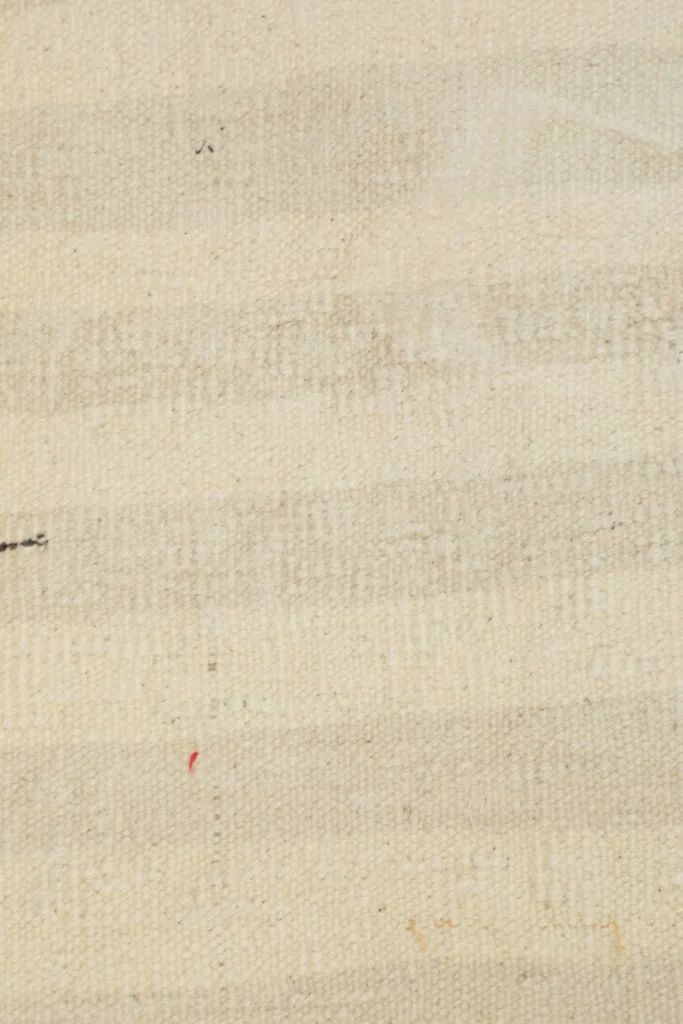 Close-up of the rug's surface, highlighting the subtle color transitions and weave of the wool.