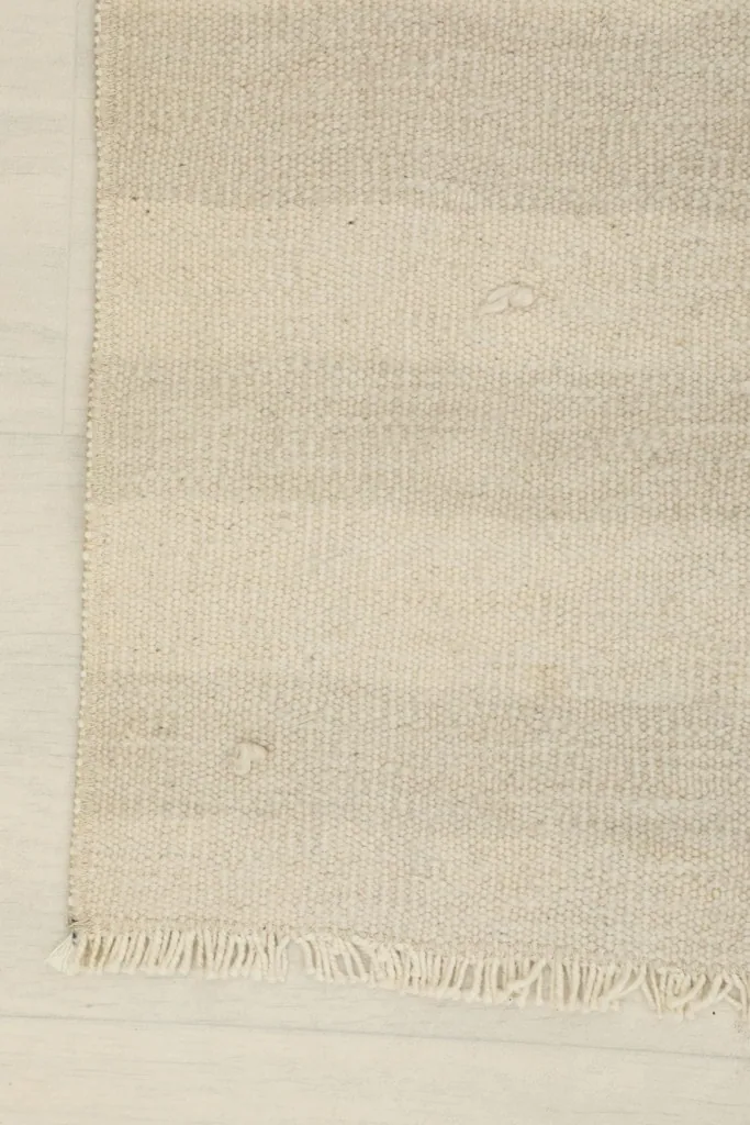 Close-up of the rug's edge, showing the texture and fringe