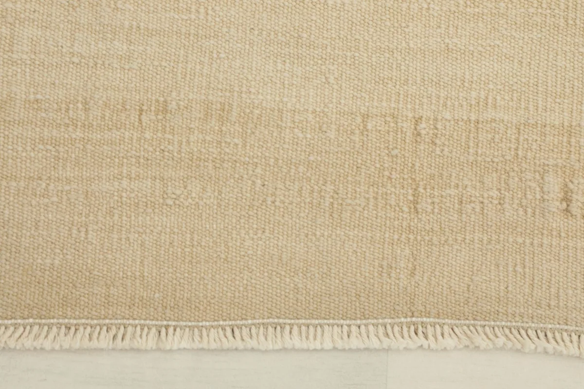 Close-up detail of the rug's low pile texture and subtle color variations near the fringe.