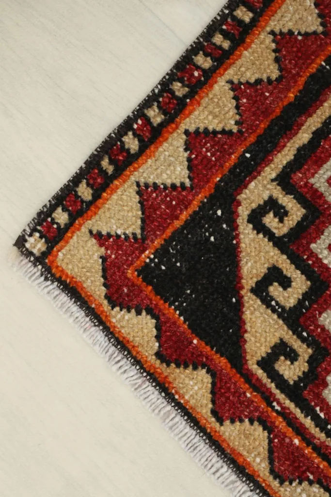Close-up of a rug corner, highlighting the fringe and border design