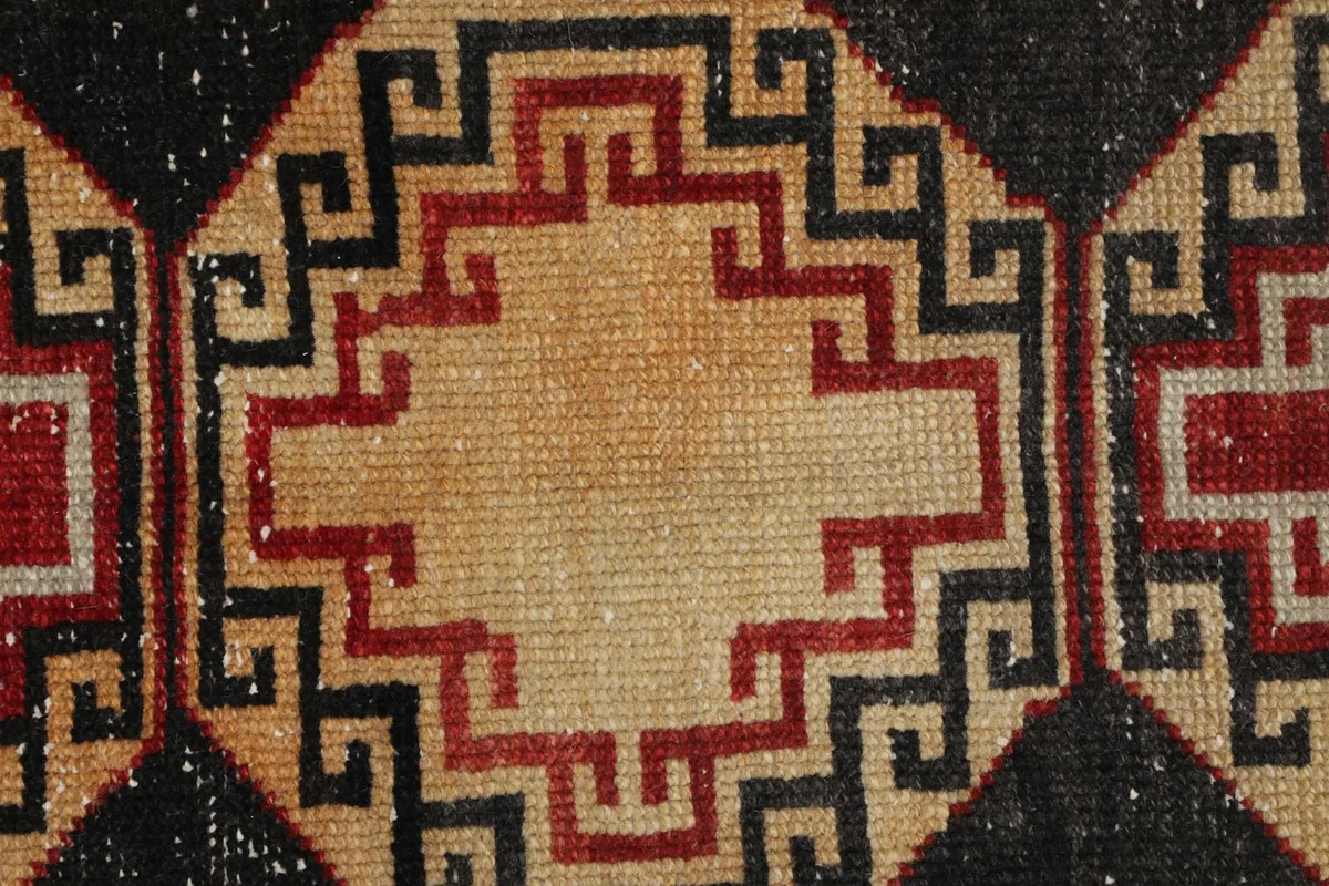 Macro shot of the wool pile showing color variations and texture of the tan center