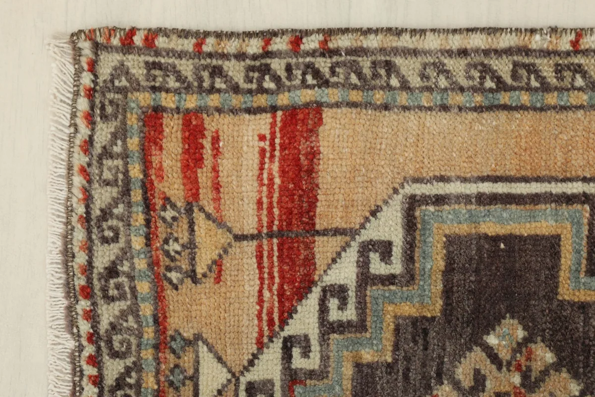 Corner detail showing the patterned border and the transition from the tan field to the edge