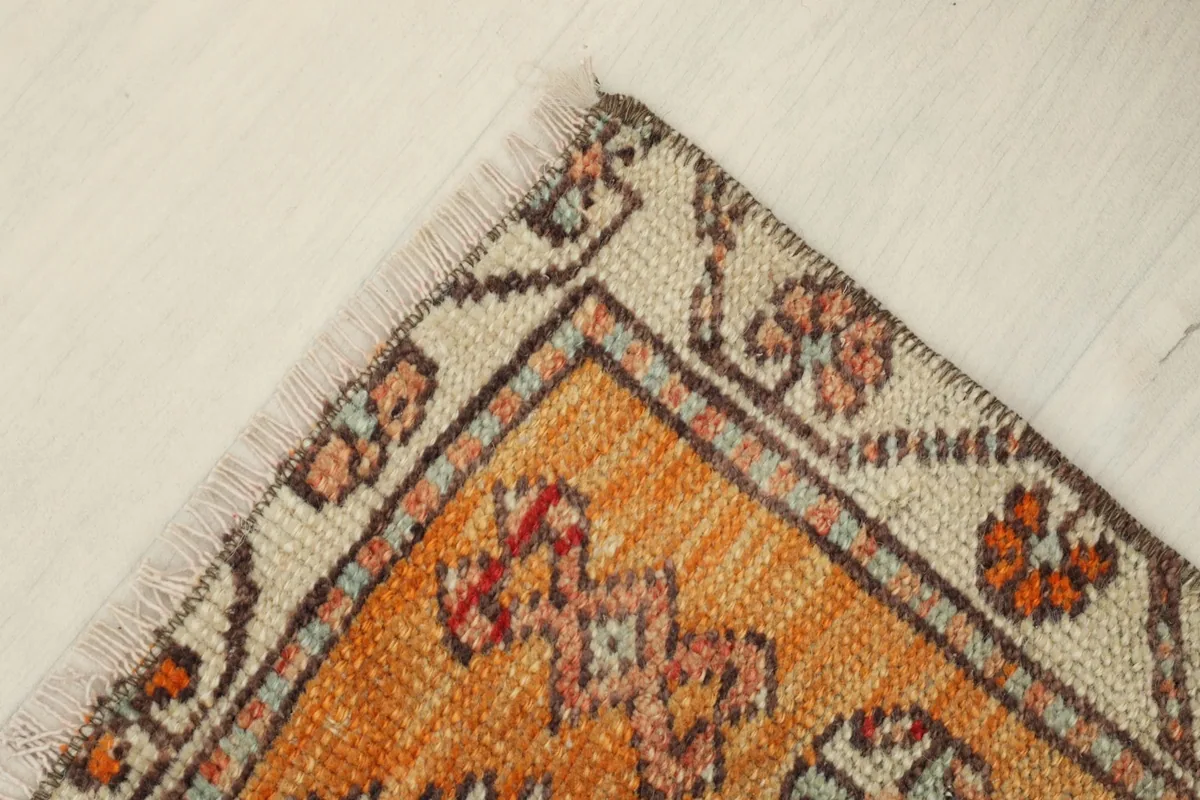 Top left corner of the rug, showing the fringe and border design