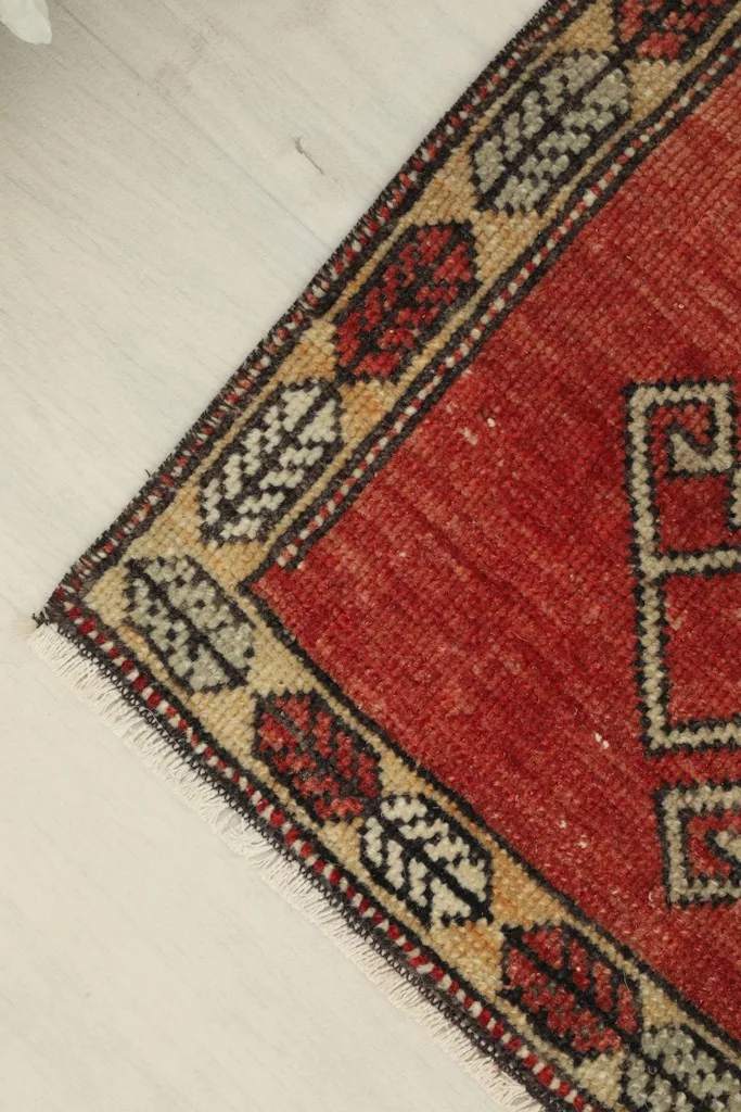 Corner detail of the rug, showing the fringe and the patterned border.