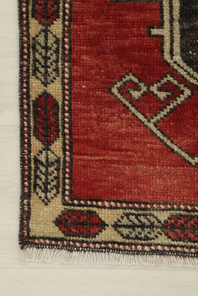Close-up of the rug's corner, highlighting the tan border with red and black leaf motifs.