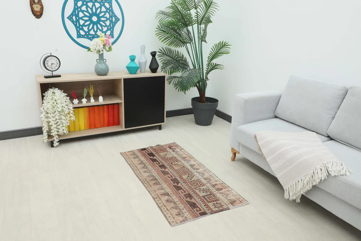 Vintage beige and rust area rug placed in a modern room setting with a sofa and cabinet.
