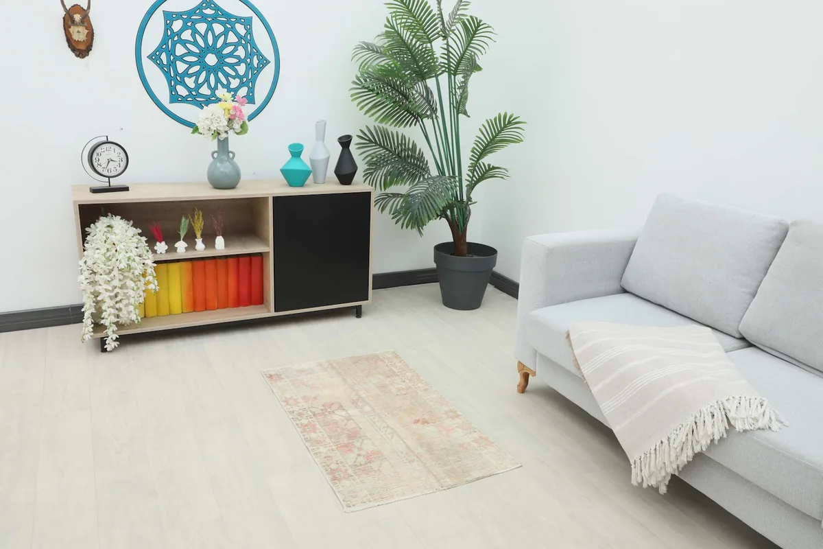 The small beige and rose rug placed in a modern living space with a light sofa and plant.