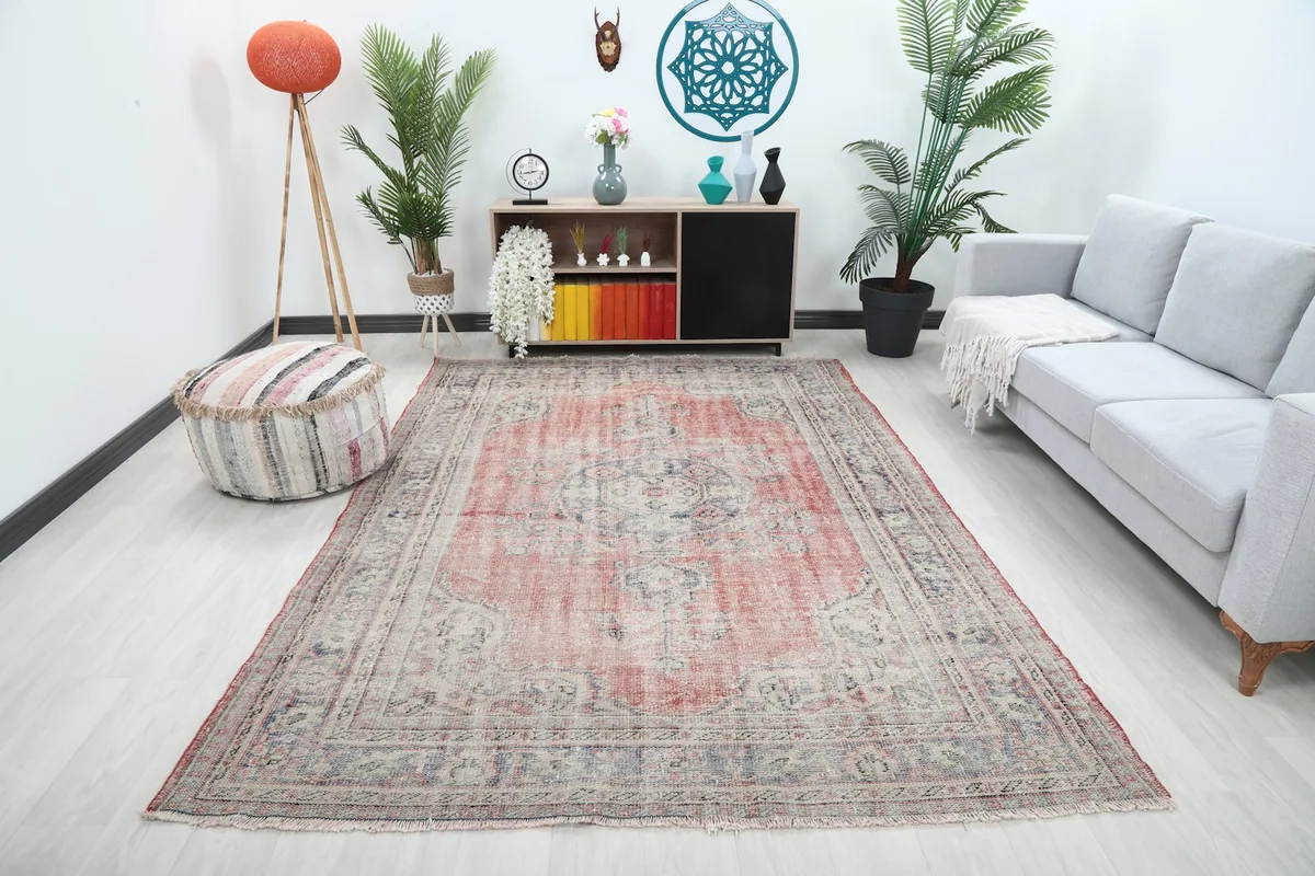Anatolian rose beige rug displayed in a living room setting with a sofa and plants