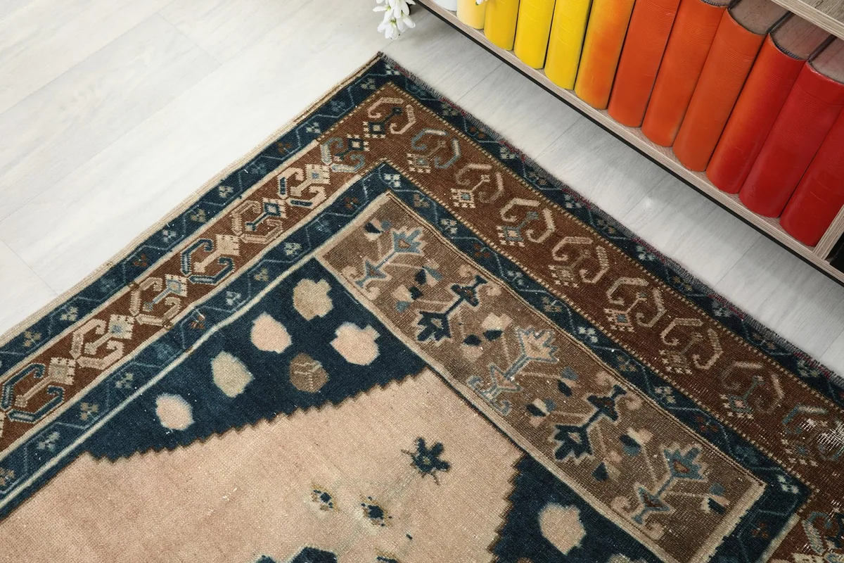 View of the rug's multiple borders in brown and navy, next to a colorful bookshelf