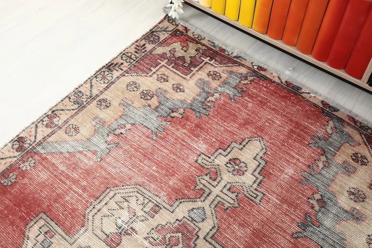 Corner of the rug next to a bookshelf, showing the border and field colors