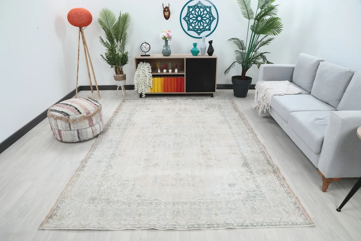 Vintage beige area rug displayed in a living room setting with a gray sofa and light decor.