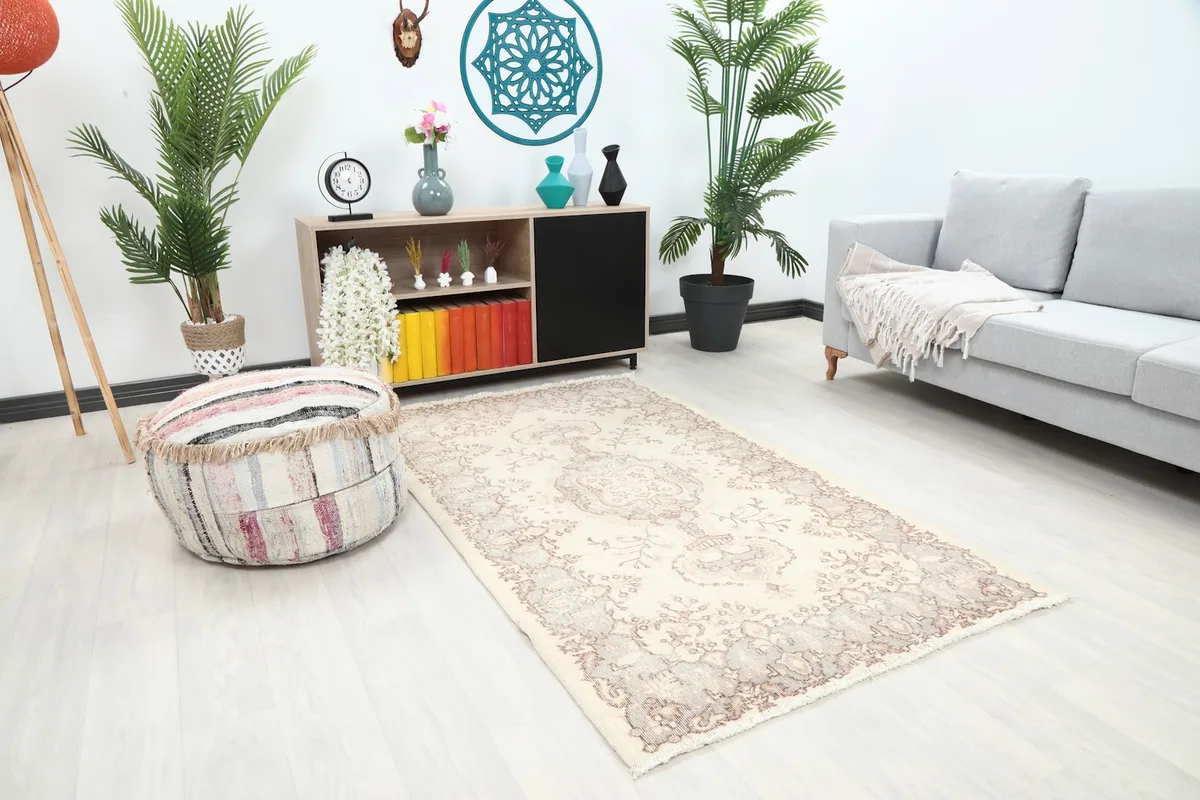 Ivory and rose rug complementing modern decor in a living room