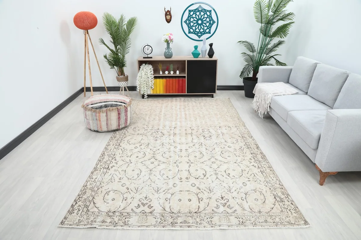 Vintage beige area rug in a modern living room setting with a gray couch and plants